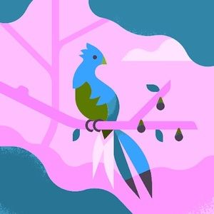 Meet your Posher, Maribel